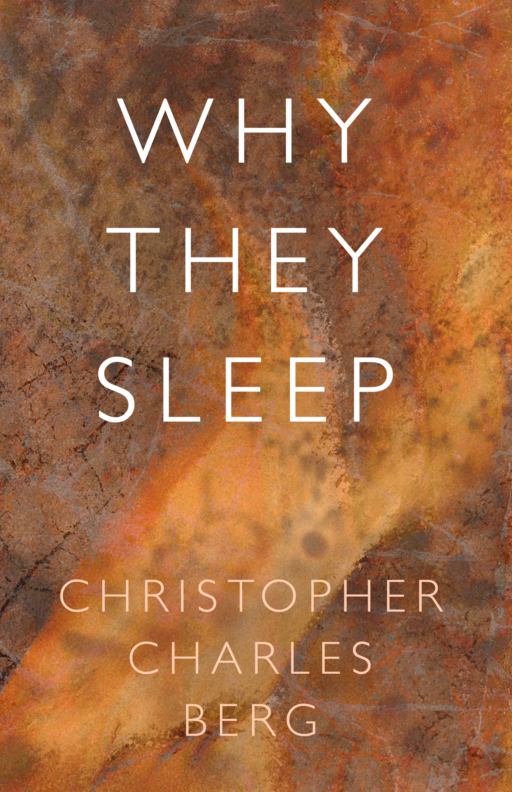 Why They Sleep official cover ebook